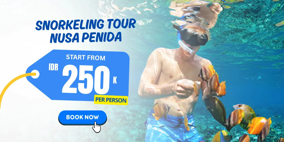 Snorkeling Tour Nusa Penida